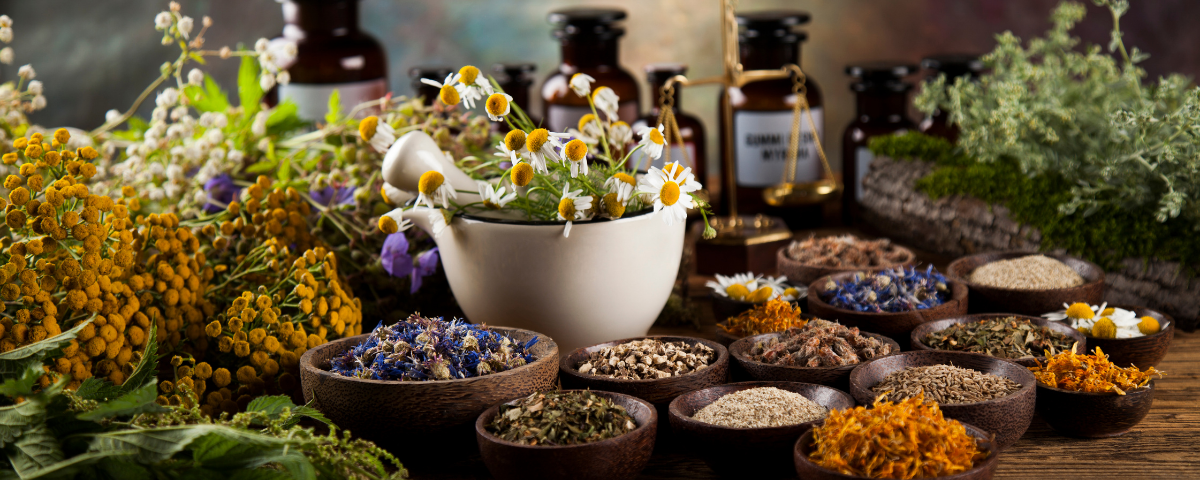 Fueling Your Spirit: The Powerful Role Nutrition Plays in Reiki Healing