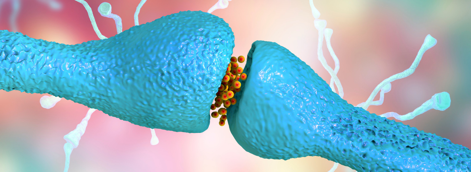 The Nervous System, Stress, and Healing: Why Regulation Comes First