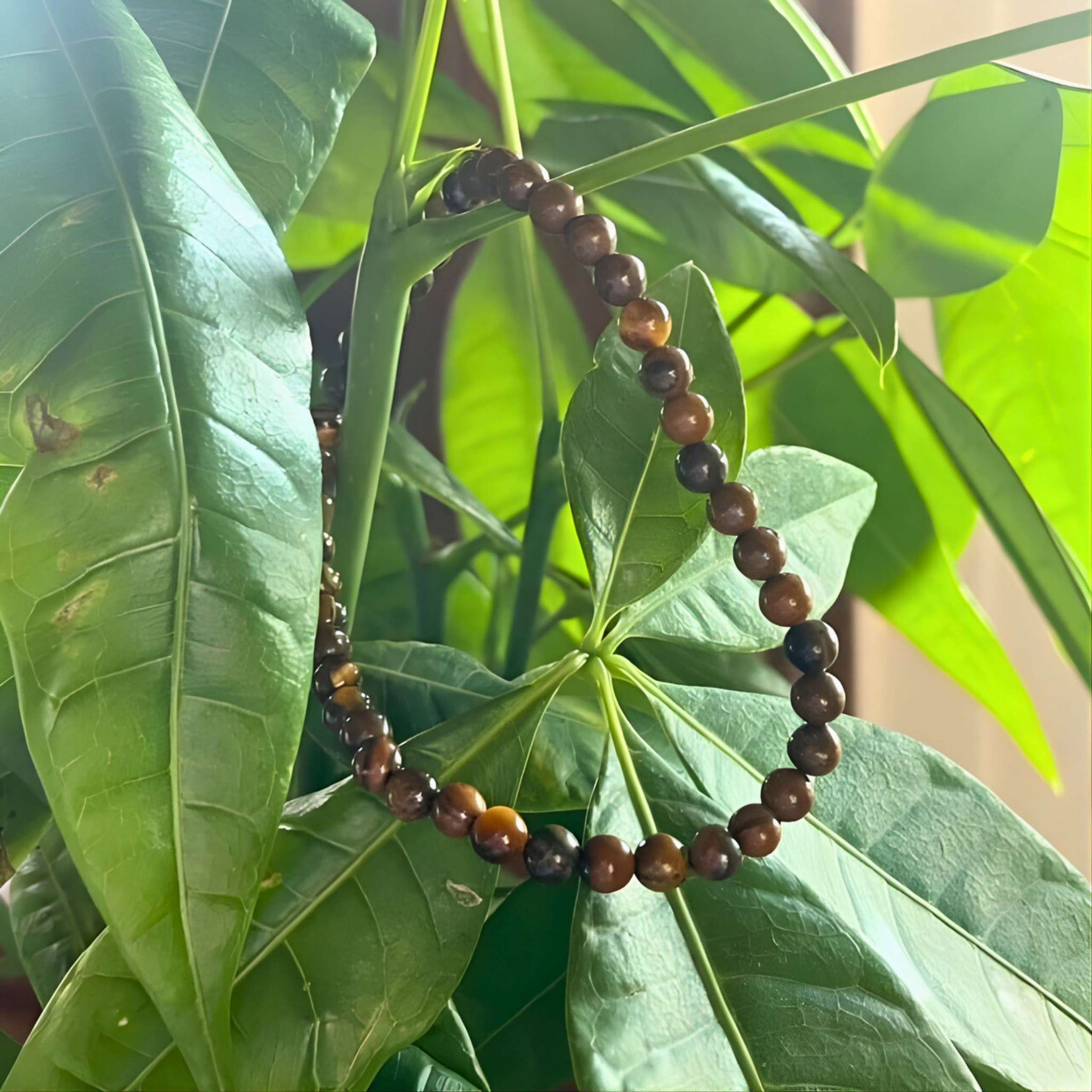 Brown beaded bracelet on a green leafy background